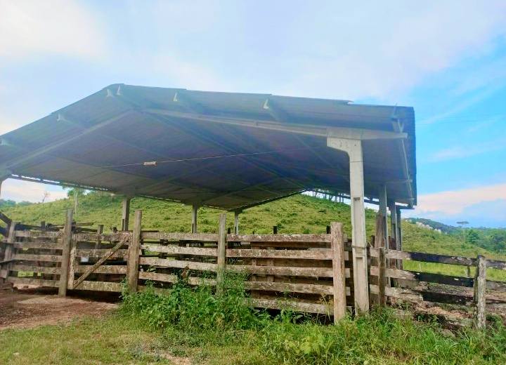 EXCELENTE SÍTIO DE 41.HECTARES DE PASTO ABERTO 